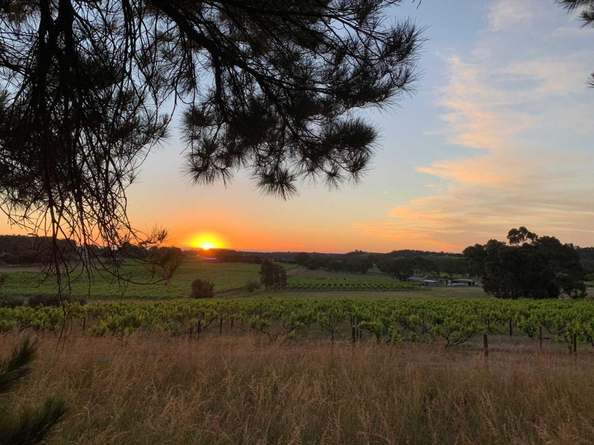 Bella Cosa Villa Mclaren Vale Buitenkant foto